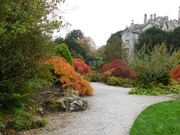 16th Oct 2025 - Autumn colour