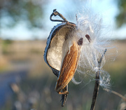 14th Oct 2025 - almost finished