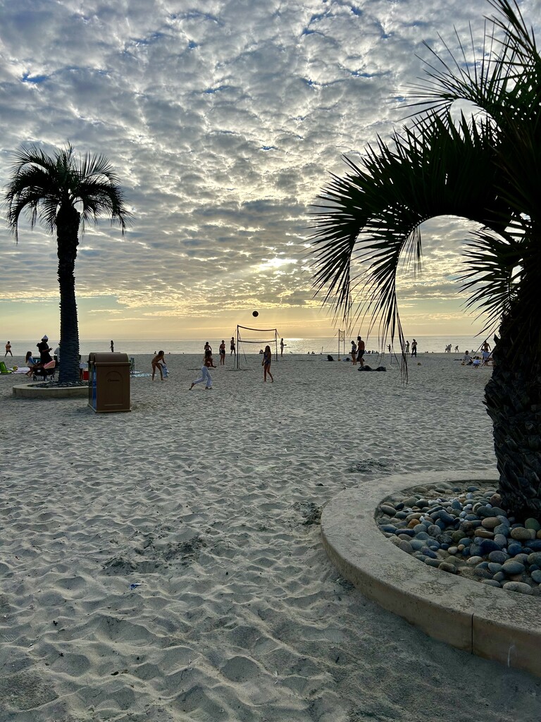 Moonlight State Beach by loweygrace