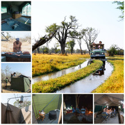 17th Oct 2025 - Botswana - The End