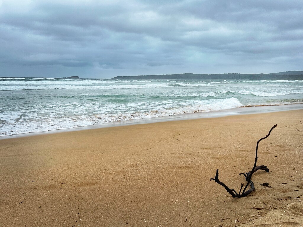 After the storm by pusspup