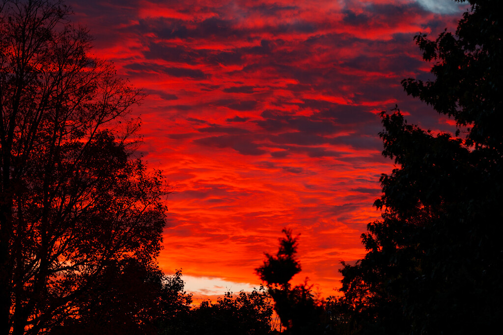 Red Sky by tomfdx