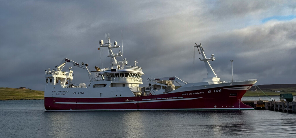 Girl Stephanie by lifeat60degrees