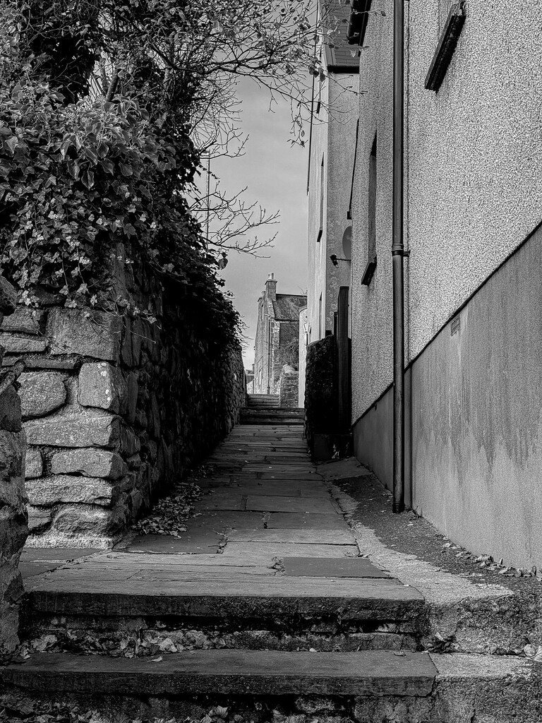 Lerwick Lane by lifeat60degrees