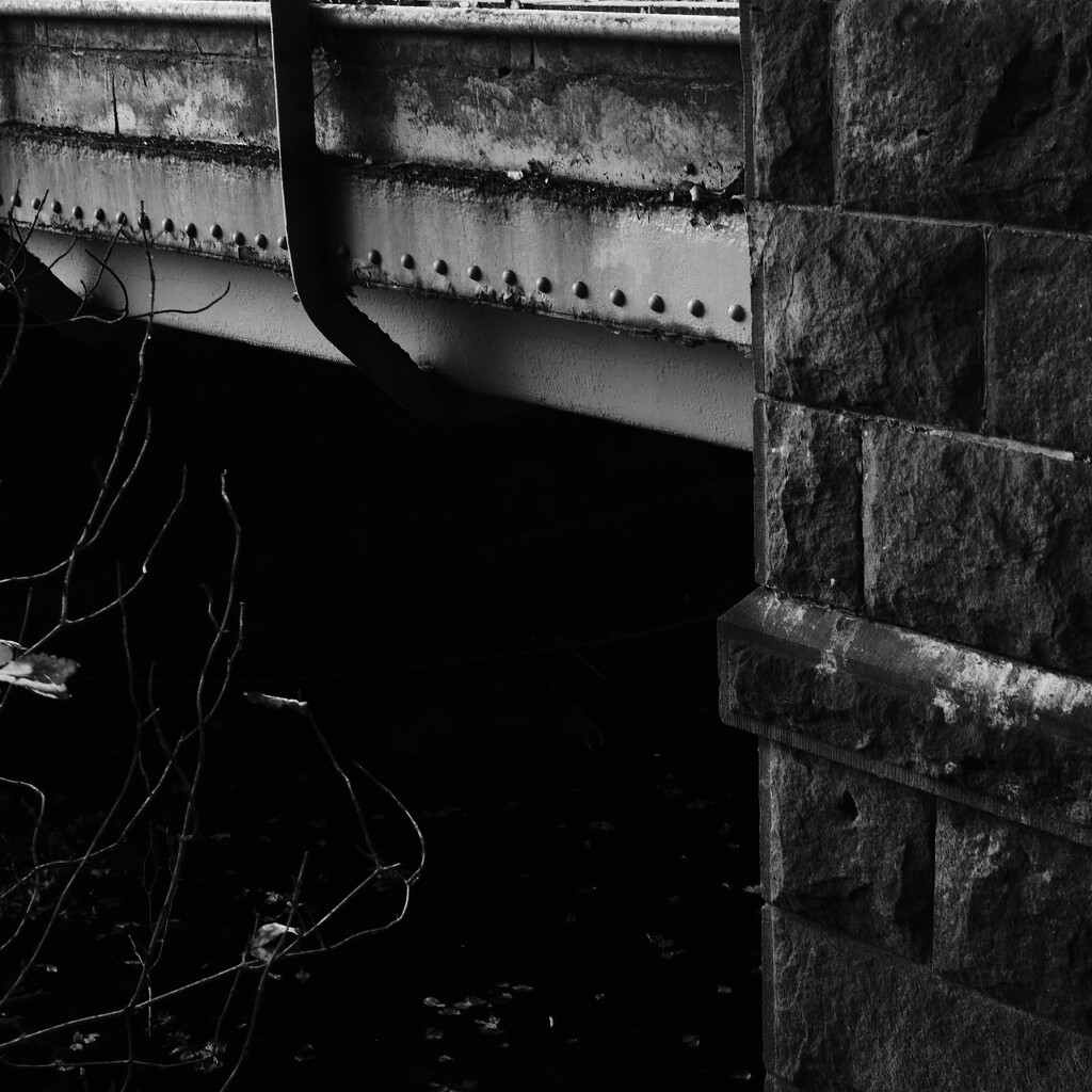 Under the bridge  by dgrpad