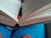 18th Oct 2025 - Half left