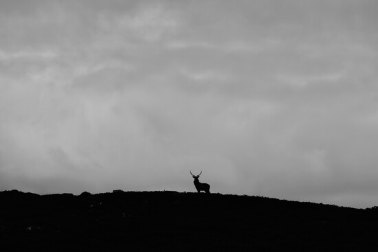 High on the Hill on 365 Project