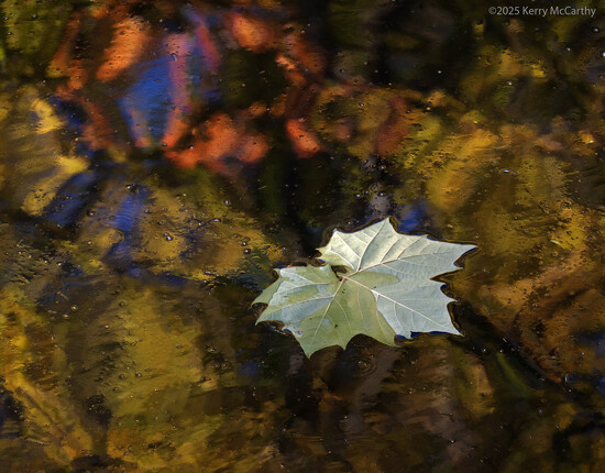 Floating Through Reflections on 365 Project