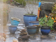 19th Oct 2025 - blues