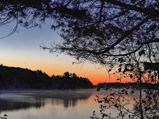 Looking into the sunrise on 365 Project