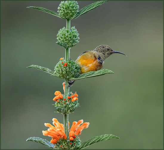 Now who are we looking at? on 365 Project