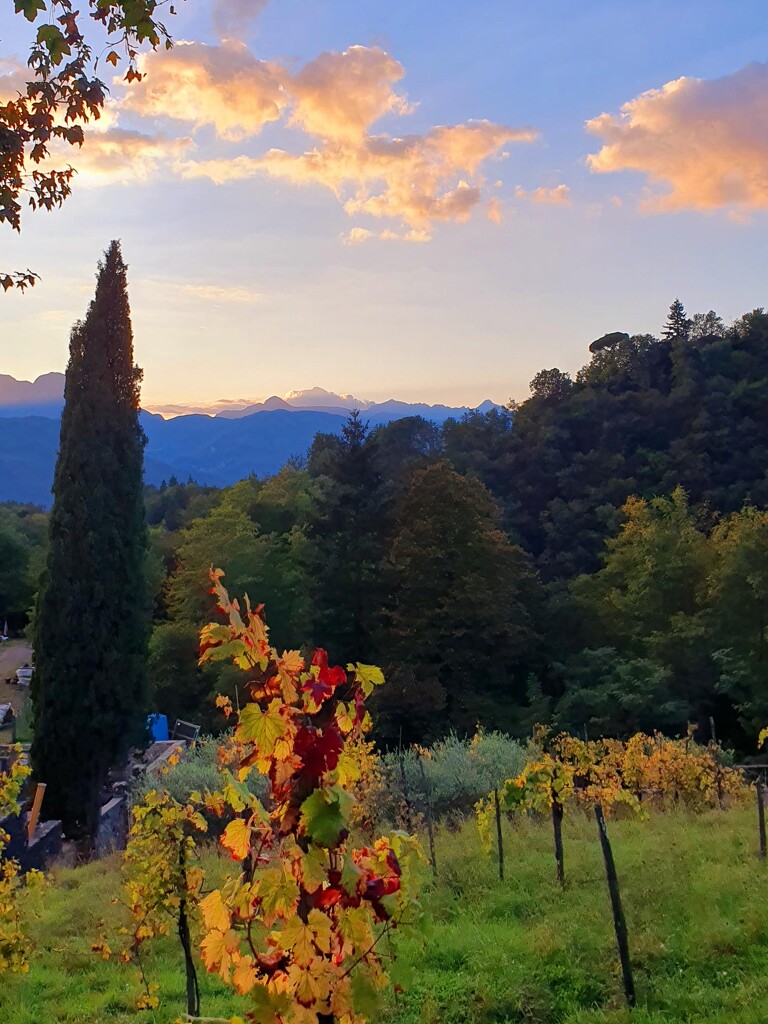 A Colourful Evening by will_wooderson