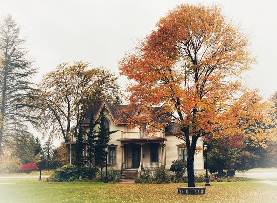 20october on 365 Project