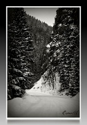 6th Feb 2011 - Winter in the Rockies