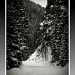 Winter in the Rockies by exposure4u