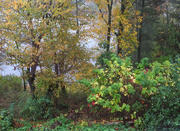 20th Oct 2025 - rise and shine!