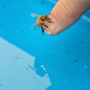 22nd Oct 2025 - Rescue