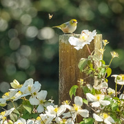 24th Oct 2025 - Pipped at the Post