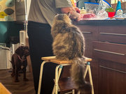 23rd Oct 2025 - Anticipation 