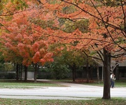 24th Oct 2025 - Passing By