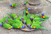 25th Oct 2025 - Dinnertime