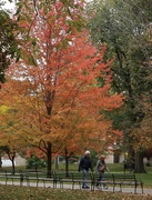 25th Oct 2025 - Extra Lovely