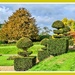 Topiary