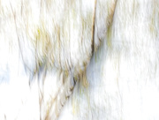 19th Oct 2025 - fuzzification