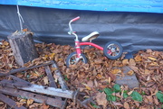 25th Oct 2025 - little red trike