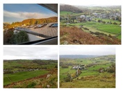 26th Oct 2025 - It was nice ...