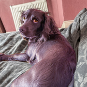 26th Oct 2025 - I Got Caught Mum!