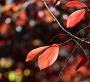 27th Oct 2025 - On the Sunny Side