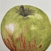 Crisp Apple