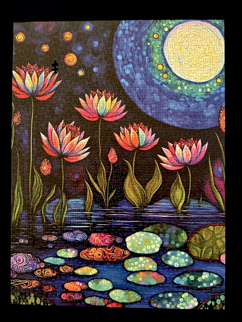 Waterlilies by Moonlight by kjarn