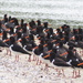 This is a few of oyster catchers at Kelly’s bay about 15 ks back towards Dargaville 