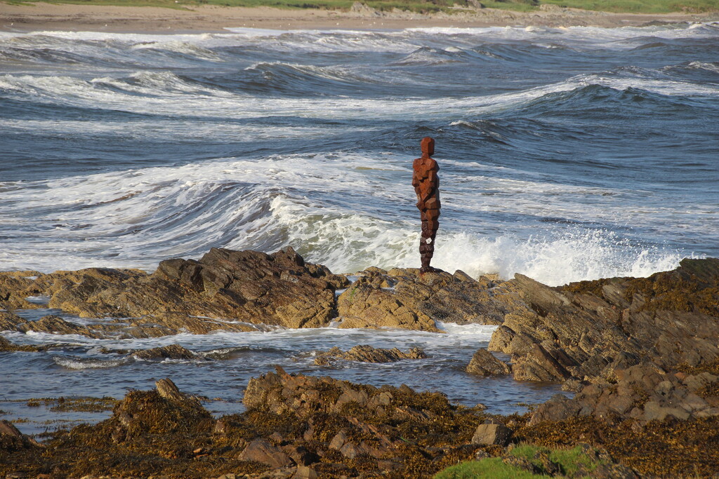Warrior, Saddell Bay, Kintyre by mariadarby