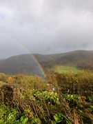 28th Oct 2025 - reward