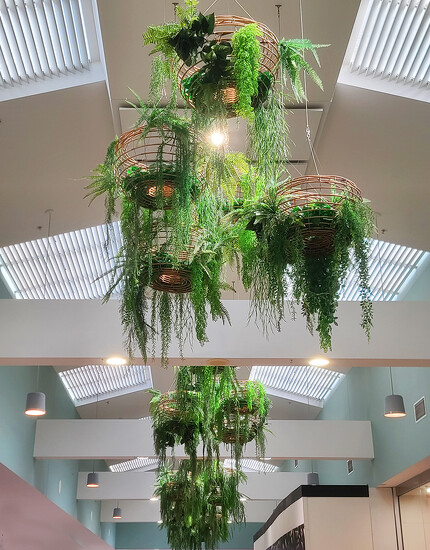 Hanging Baskets by onewing