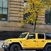 the yellow jeep