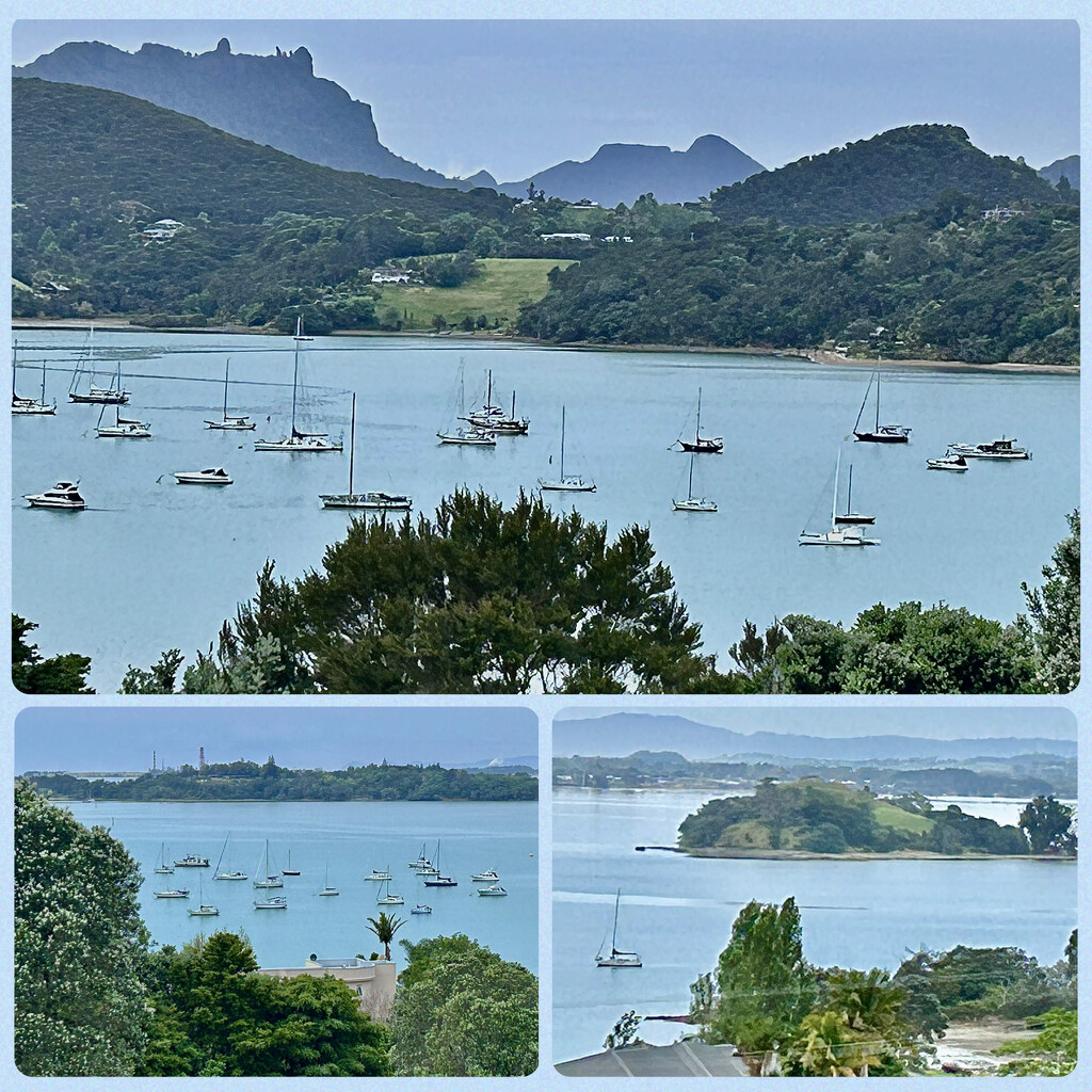 The view from my Brother in laws deck over looking Parua Bay by whippy