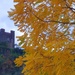 An Autumnal Tower