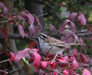 31st Oct 2025 - Finding Shelter