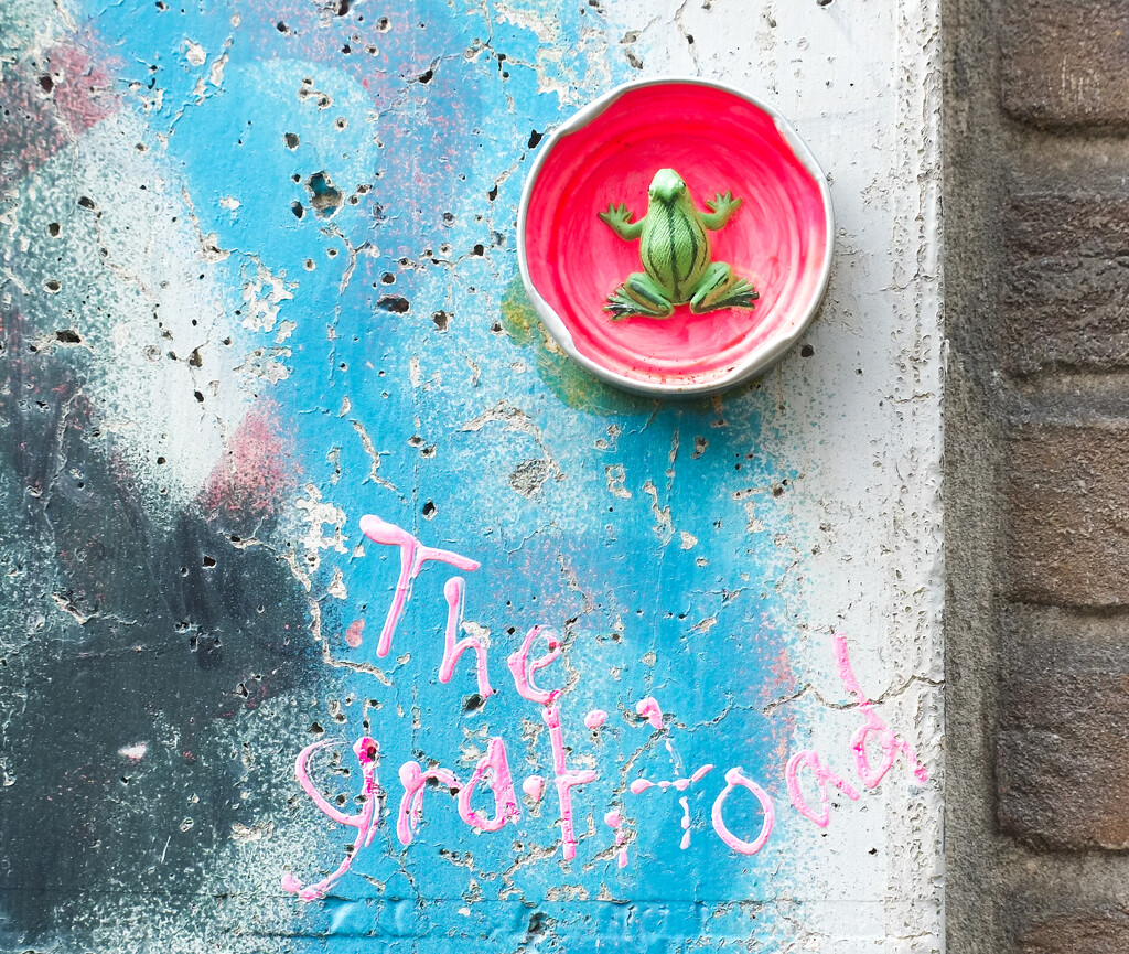 The gratitoad! by mcrandall