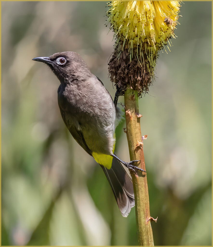 Sucked dry by ludwigsdiana