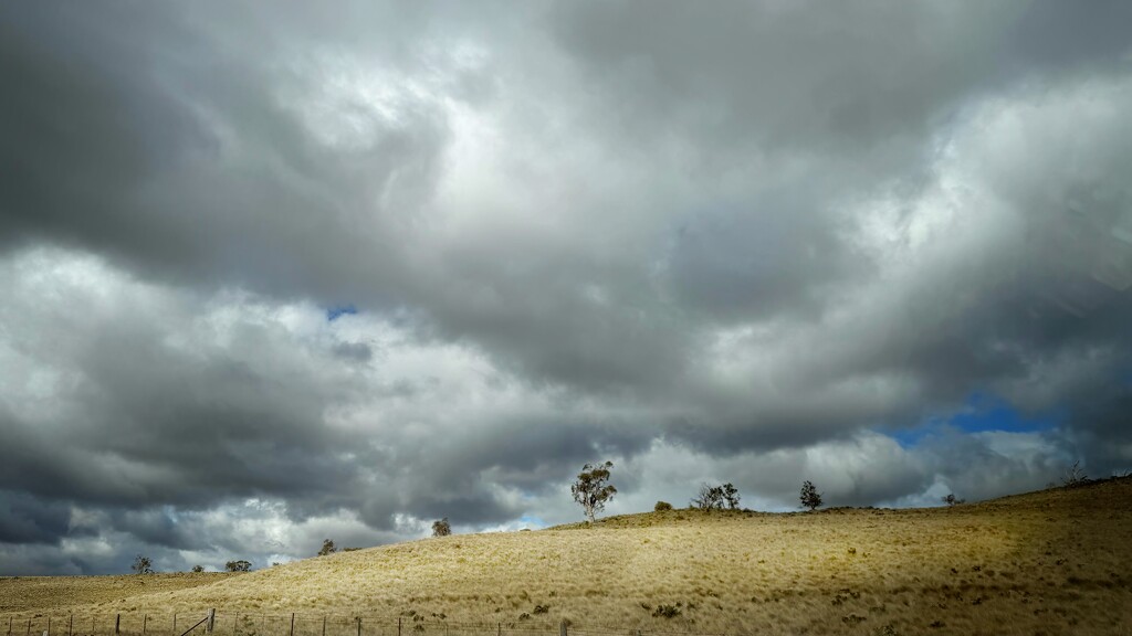 A drive in the country by pusspup