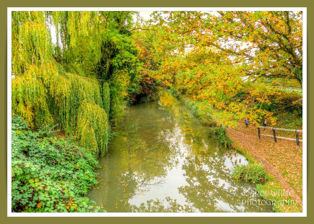 Canal Reflections by carolmw