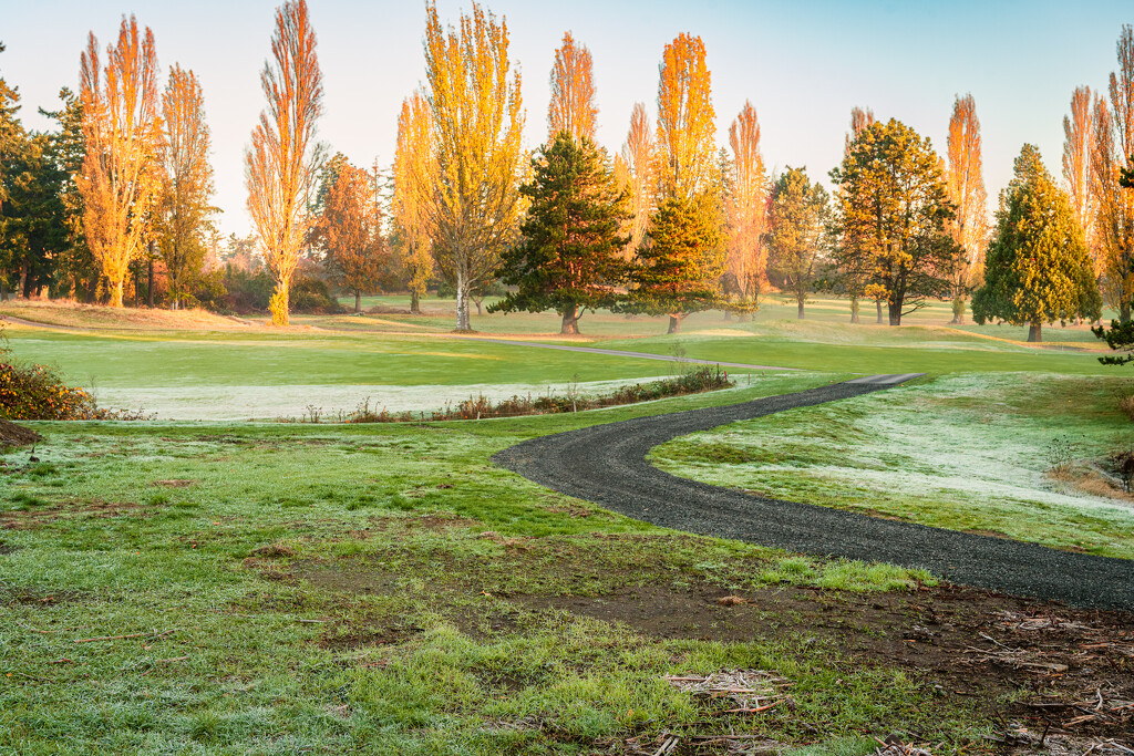 Project365 Day 3  Gorge Vale by allyc