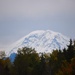 Mt. Rainier Before the Rain Starts