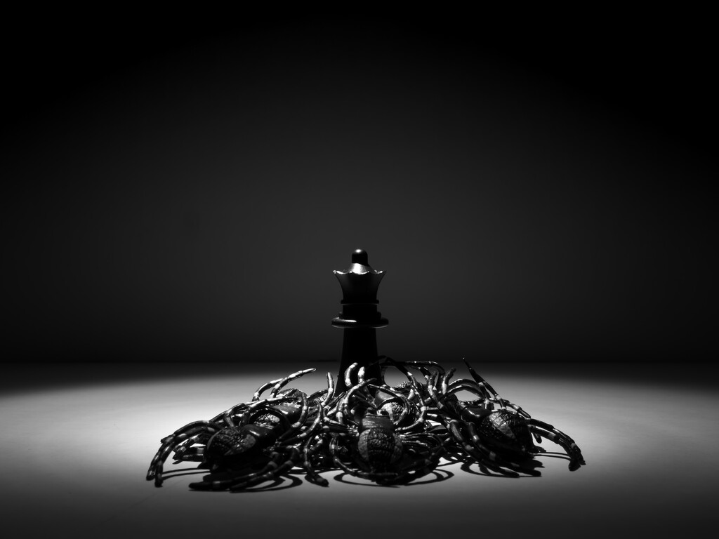 but love was a cold bed full of scorpions... by northy