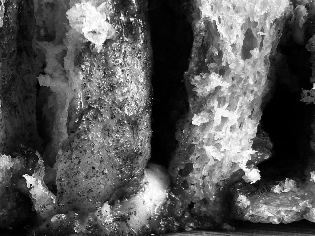 Cinnamon Roll by narayani